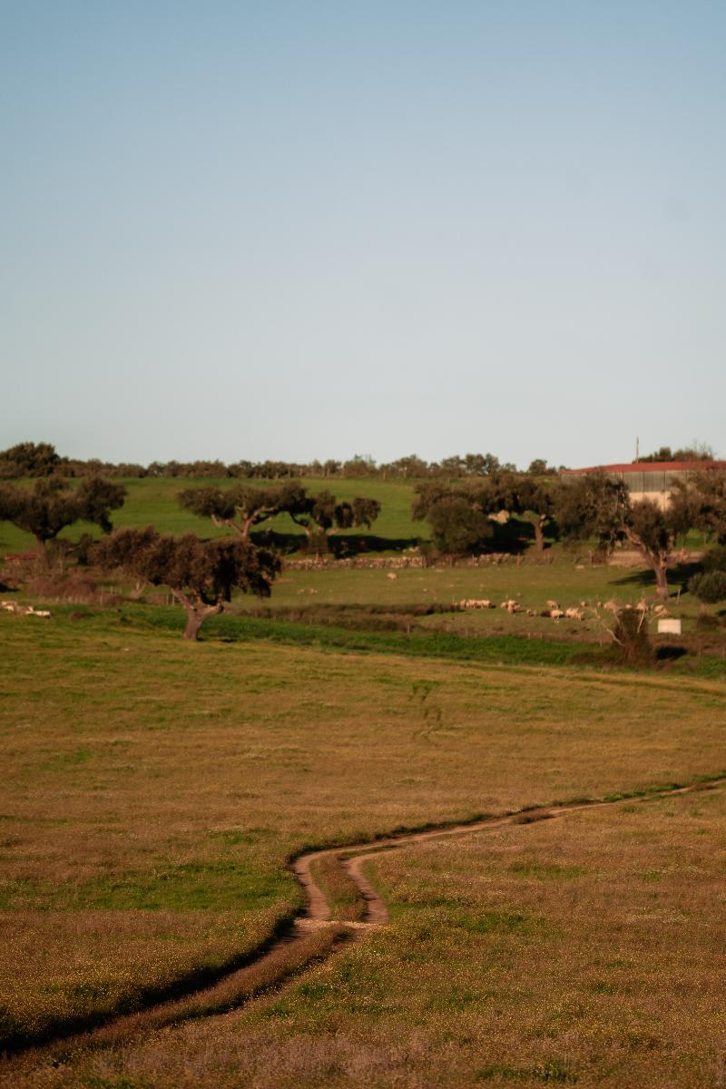 Herdade Dos Moreiros image