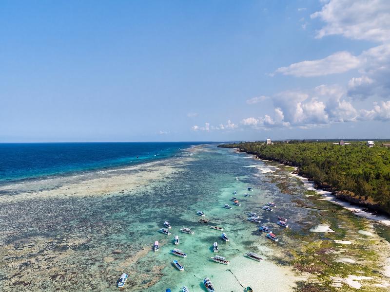 Iberostar Selection Zanzibar All Inclusive image