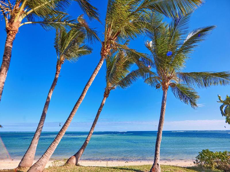 Hotel Riu Palace Phuket image