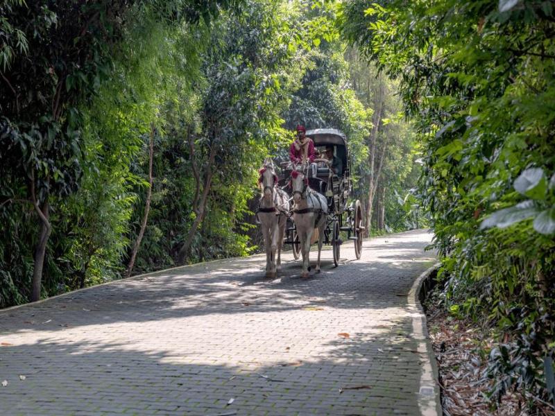 Aahana Resort & Spa - Luxury Resorts Jim Corbett image
