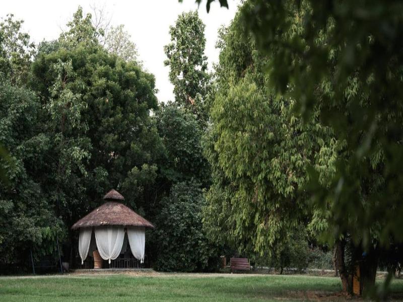 Aahana Resort & Spa - Luxury Resorts Jim Corbett image