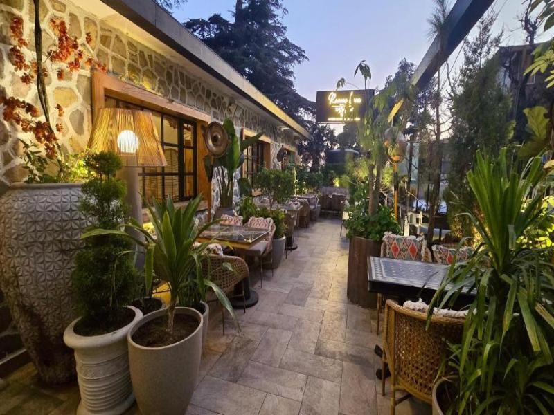 Romeo Lane, Mussoorie By Alivaa image