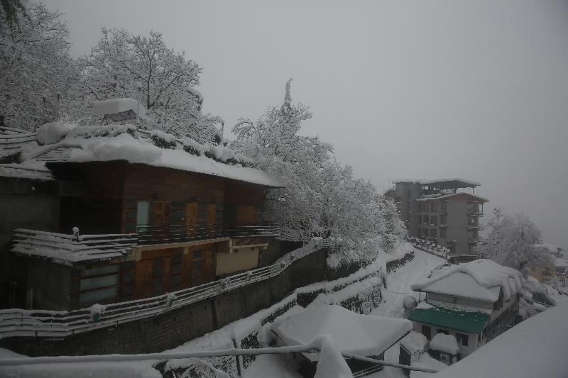 North Star Manali image