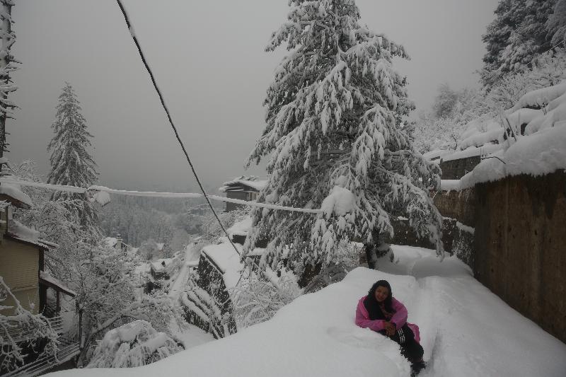 North Star Manali image