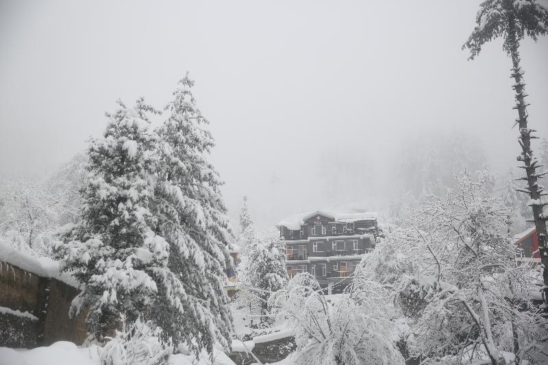 North Star Manali image
