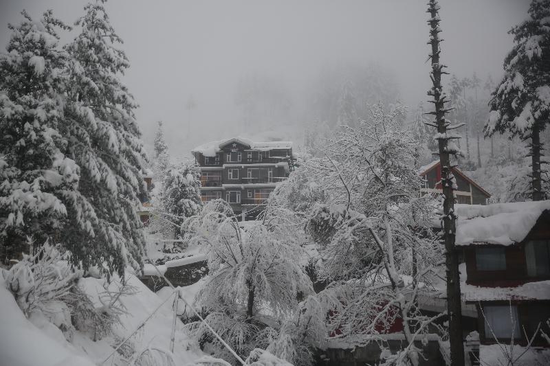 North Star Manali image