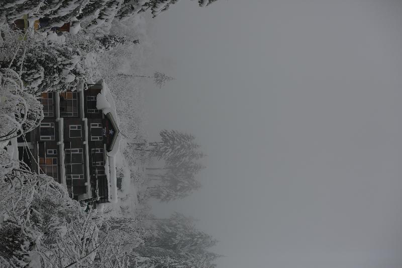 North Star Manali image