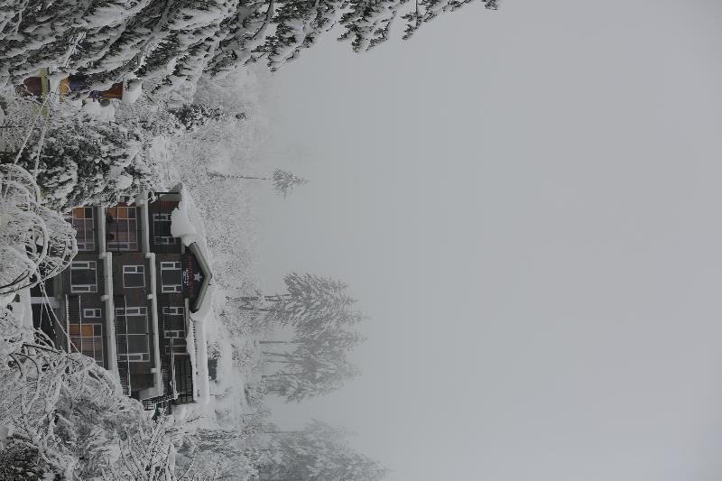 North Star Manali image