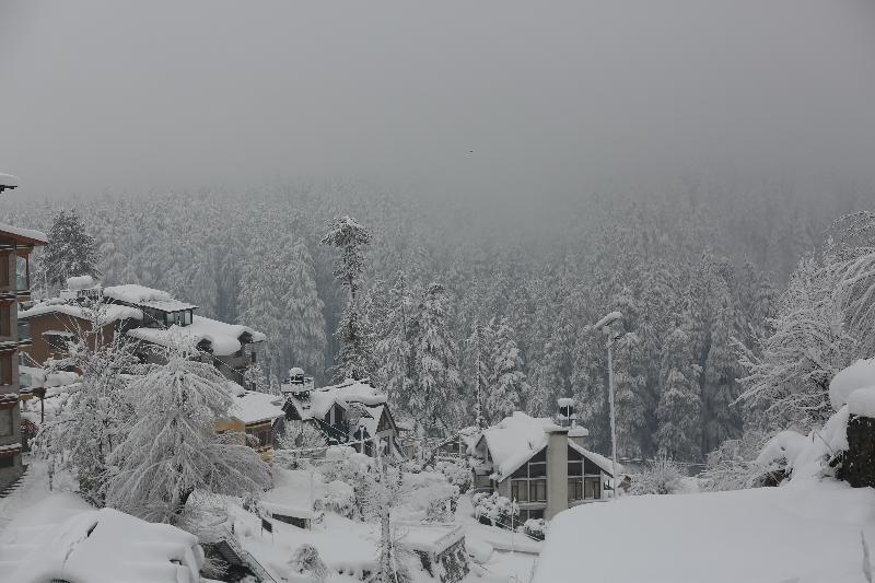 North Star Manali image