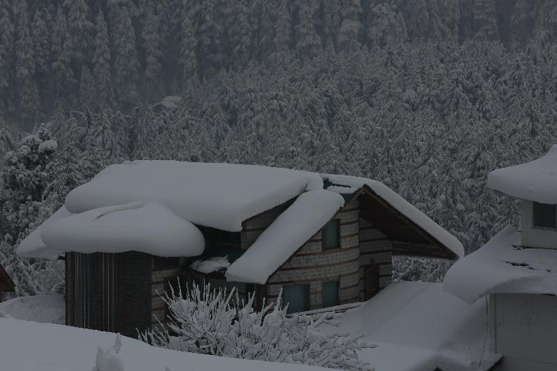 North Star Manali image