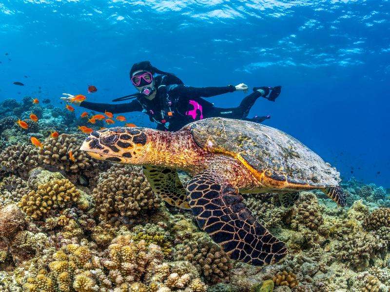 Conrad Maldives Rangali Island image