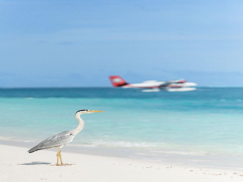 Conrad Maldives Rangali Island image