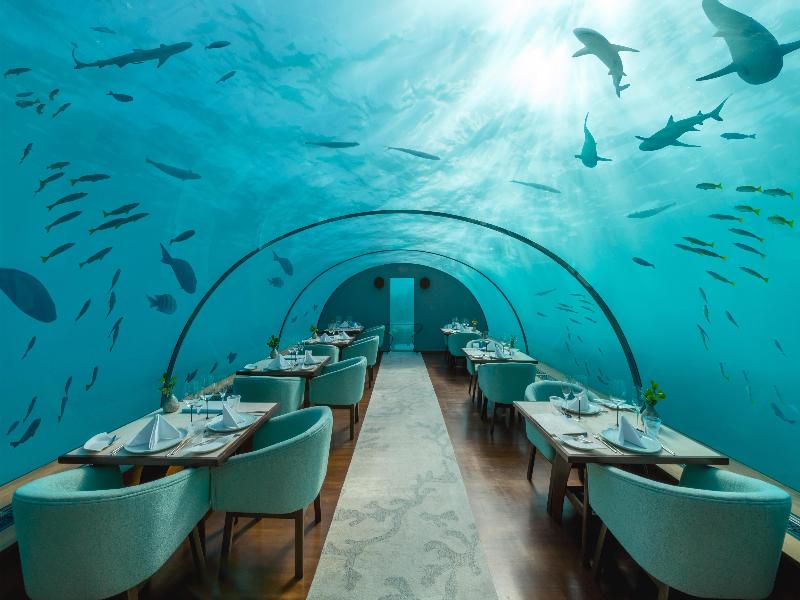 Conrad Maldives Rangali Island image