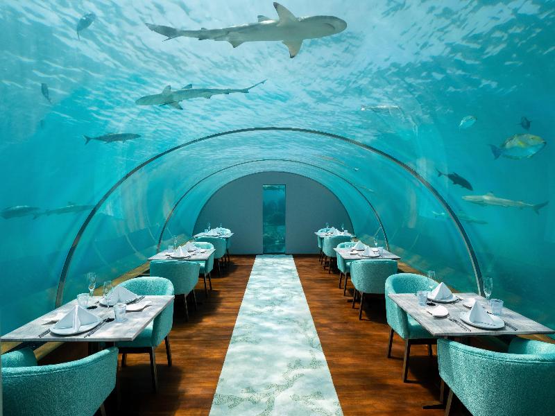 Conrad Maldives Rangali Island image