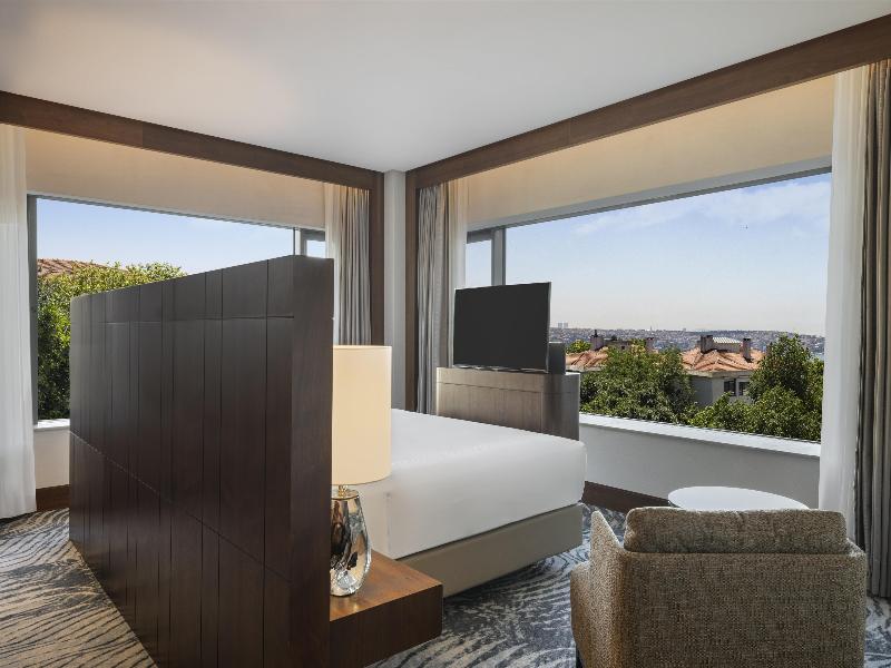 Conrad Istanbul Bosphorus image