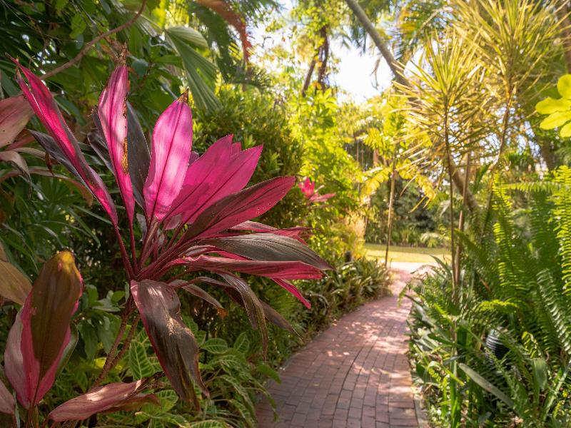 Hilton Cairns Hotel image