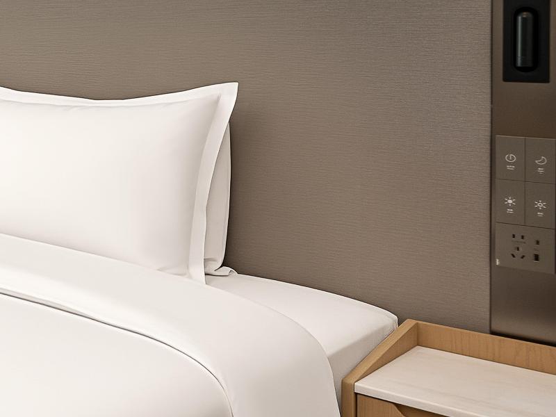Holiday Inn Express Luding by IHG image