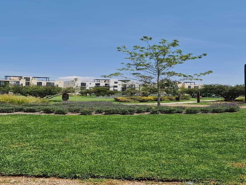Casa Itzae La Luminaria Dog Friendly