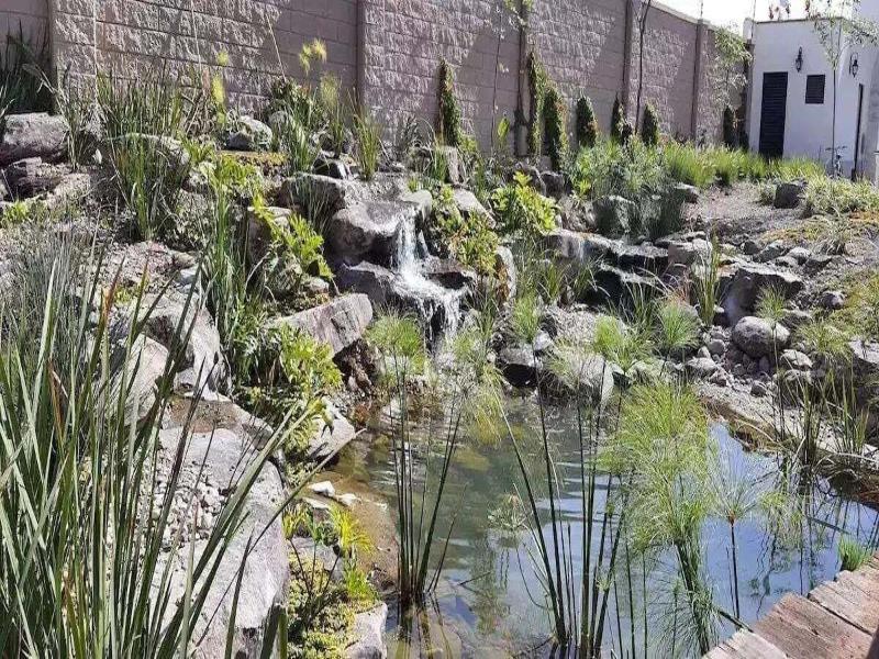 Casa Itzae La Luminaria Dog Friendly