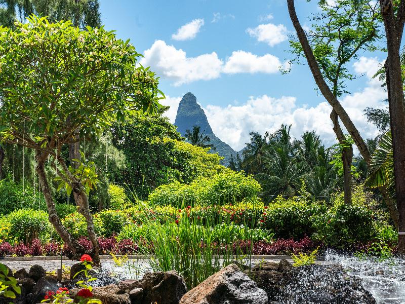 Hilton Mauritius Resort & Spa image