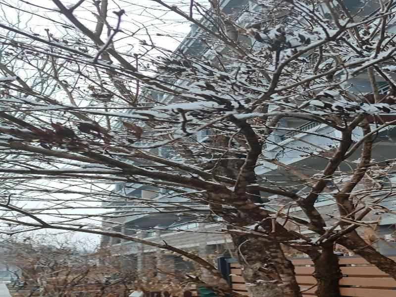 Atrium Fengzhu Homestay image