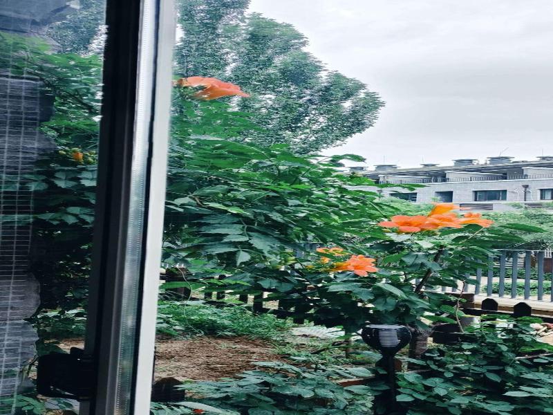 Atrium Fengzhu Homestay image