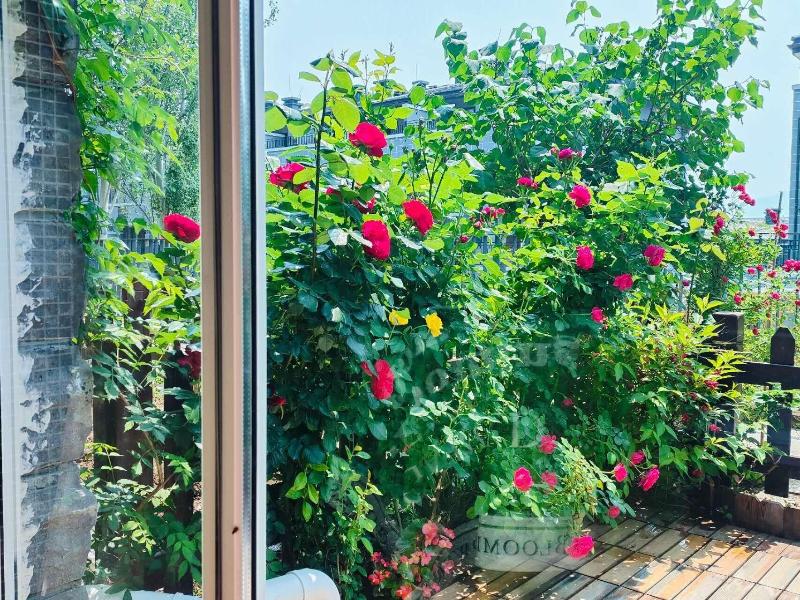 Atrium Fengzhu Homestay image