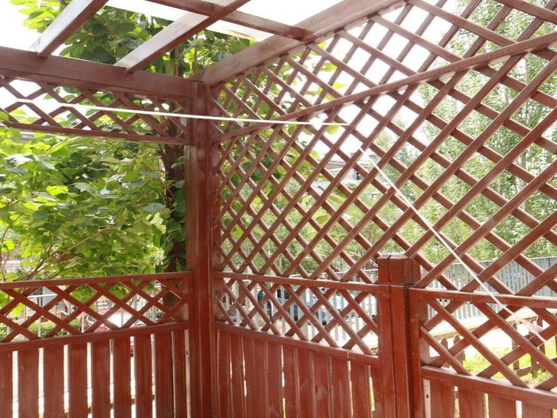 Atrium Fengzhu Homestay image