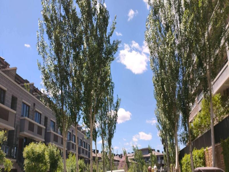 Atrium Fengzhu Homestay image