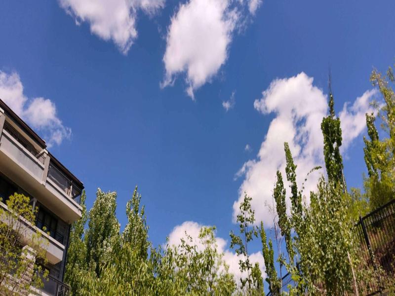 Atrium Fengzhu Homestay image