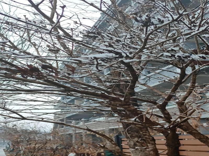 Atrium Fengzhu Homestay image