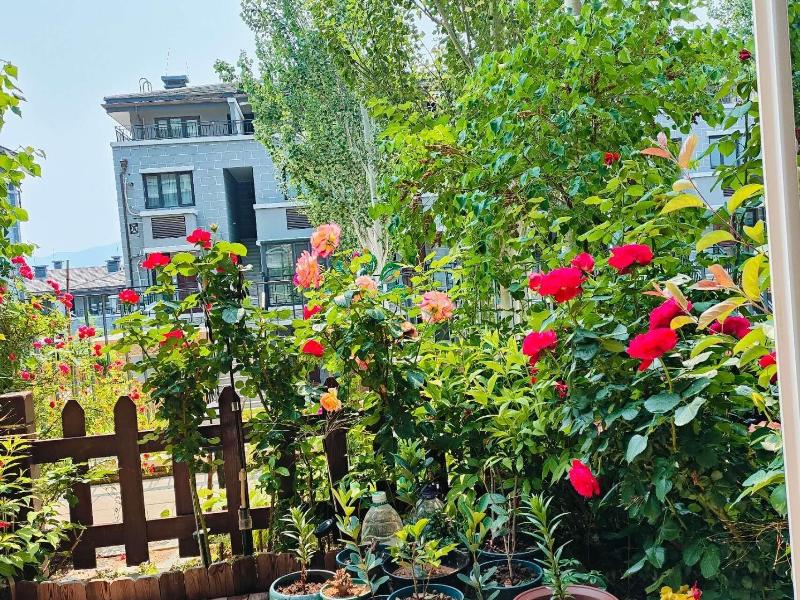 Atrium Fengzhu Homestay image