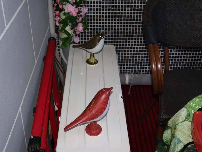 Atrium Fengzhu Homestay image