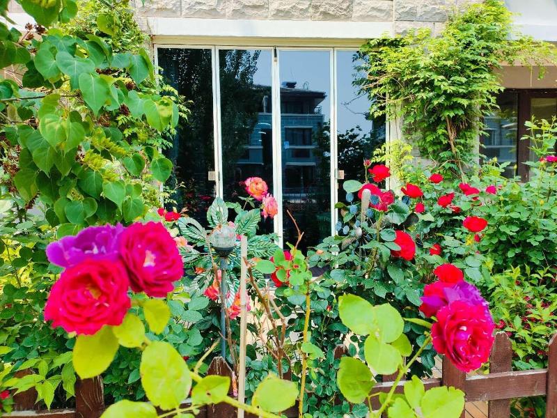 Atrium Fengzhu Homestay image