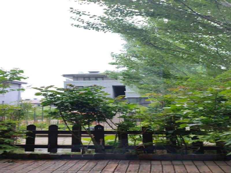 Atrium Fengzhu Homestay image