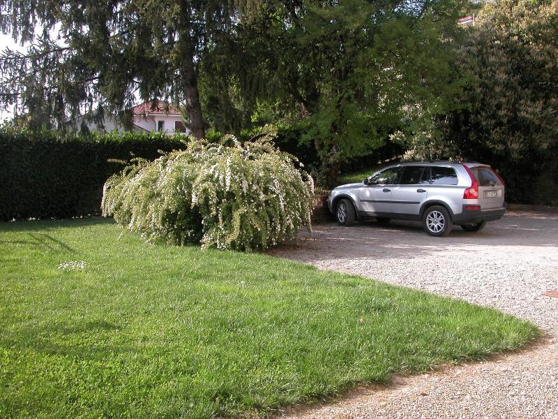 Villa D'azeglio image