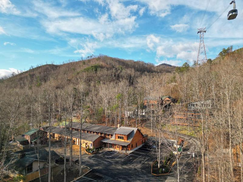 The Timber At Holly Branch image