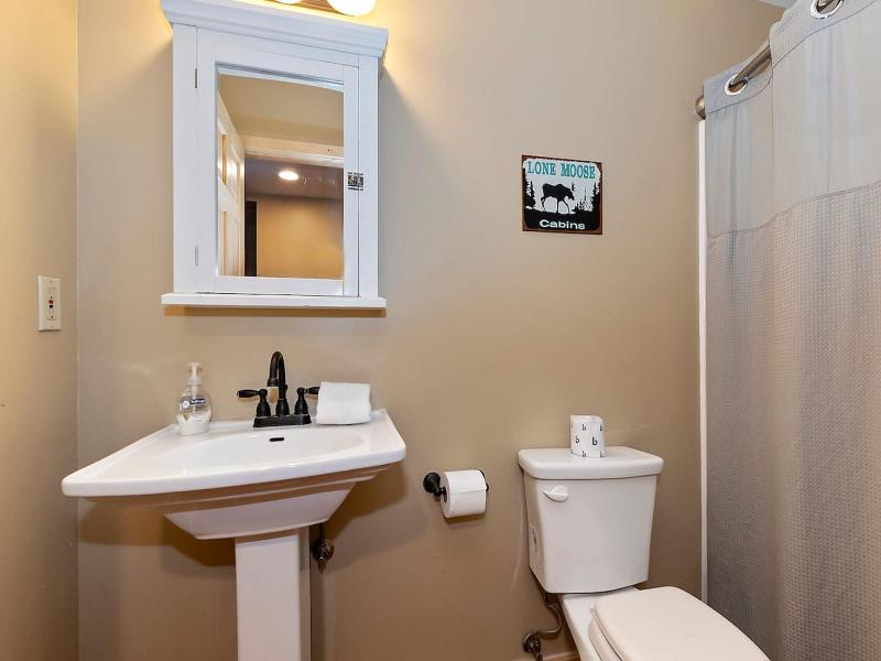 Big 10 Luxury Cabin With Hottub image