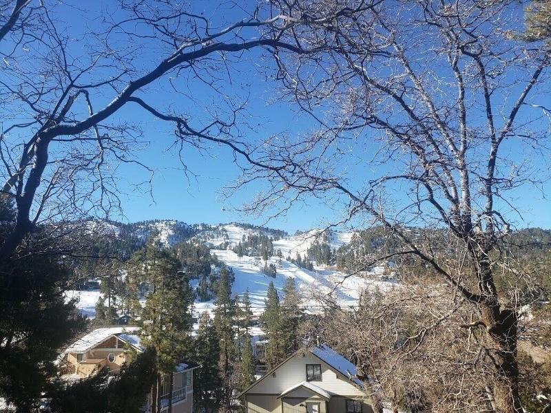 A Ski View image