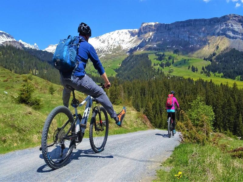 Black Summit Boutique Resort Laax image