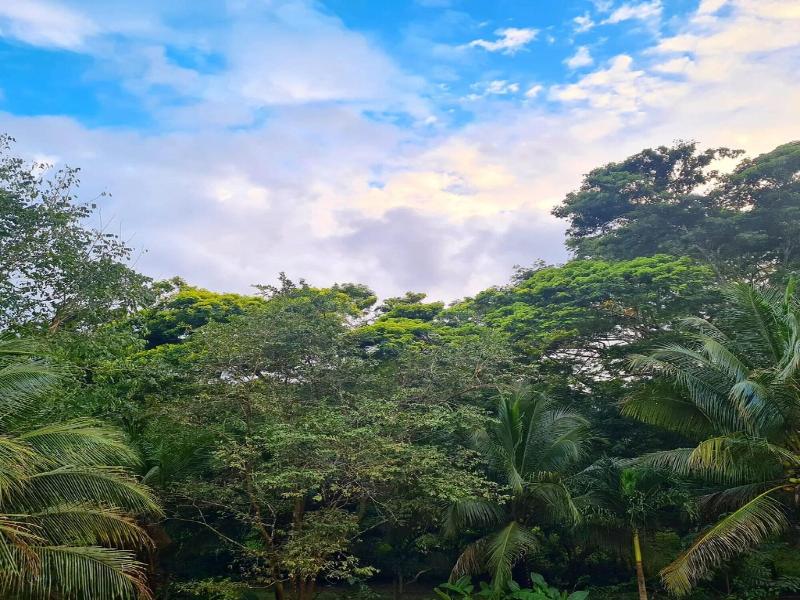 Villa Massis Luxury Jungle Villas image