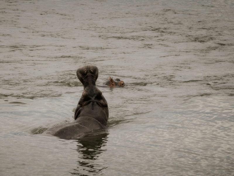 Zambezi Sands By Batoka image