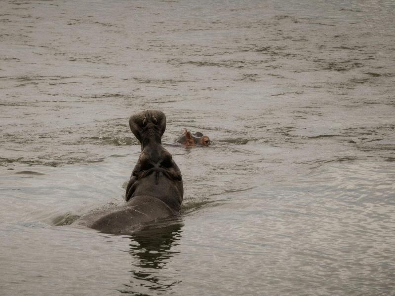 Zambezi Sands By Batoka image