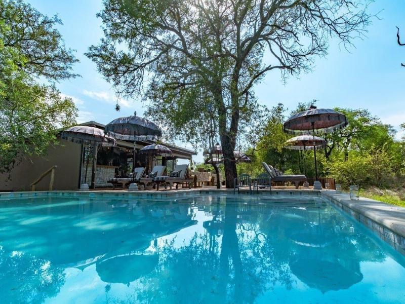 Safari Moon Luxury Bush Lodge image