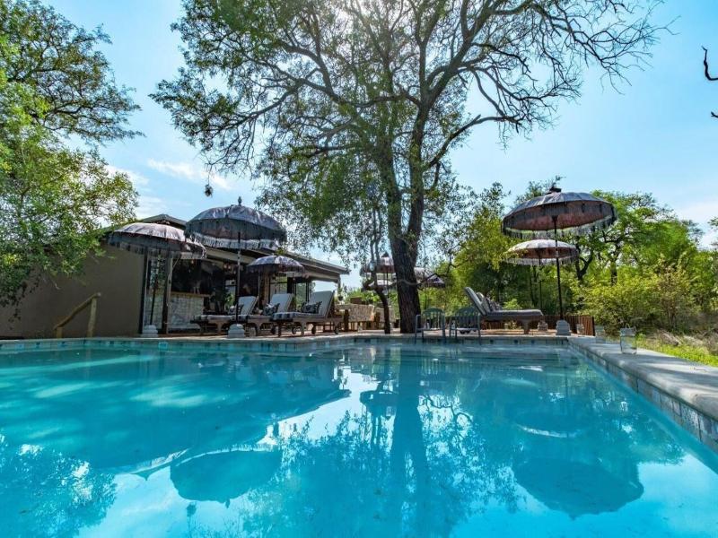 Safari Moon Luxury Bush Lodge image