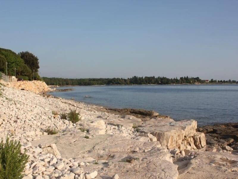 Villa Badi image