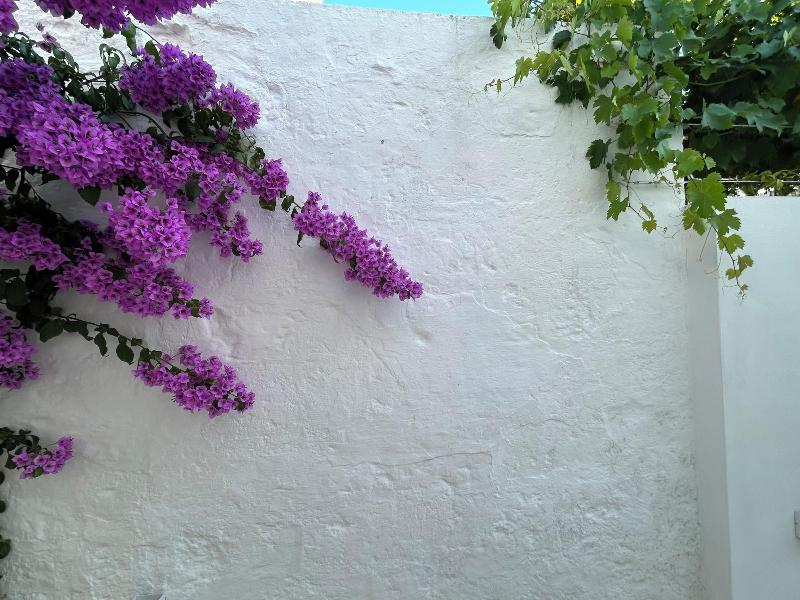 Montesanto 60 Suite & Relax Alberobello image