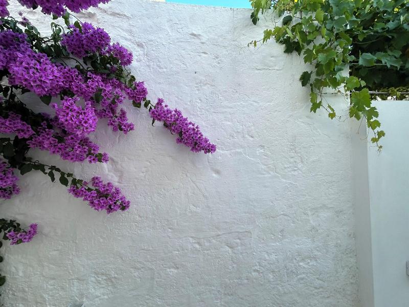 Montesanto 60 Suite & Relax Alberobello image