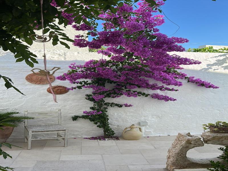 Montesanto 60 Suite & Relax Alberobello image