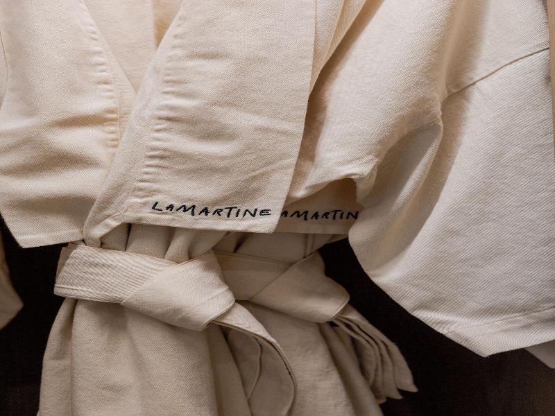 Lamartine Boutique Hotel Polanco image